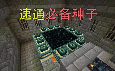 我的世界有什么好种子