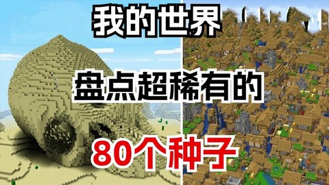 我的世界有什么好种子[图2]