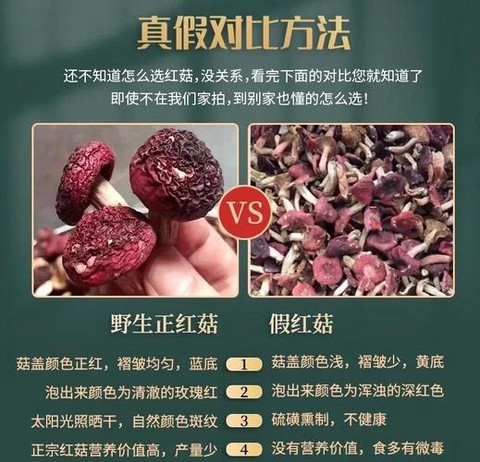 迷你世界小红菇怎么种
