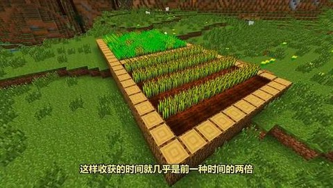 我的世界田地怎么做