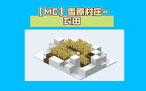 我的世界田地怎么做[图2]