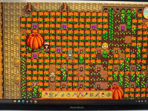 星露谷物语南瓜怎么得