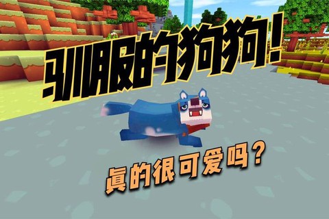 迷你世界怎么驯服狗[图1]