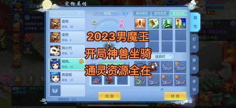 神武魔王学什么辅助