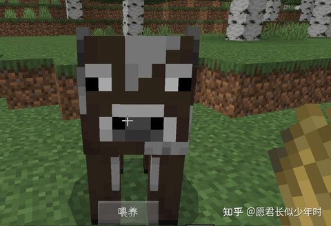 我的世界牛吃什么食物[图2]