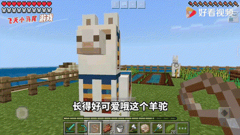 我的世界羊驼怎么骑