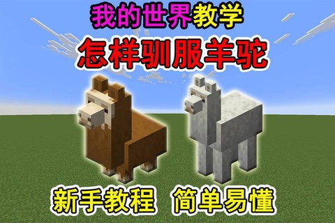 我的世界羊驼怎么骑[图2]