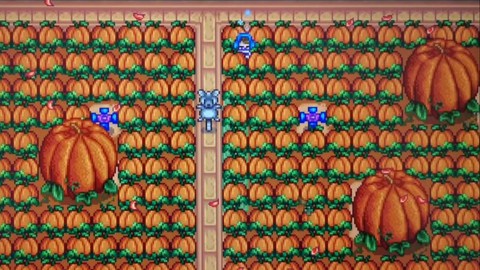 星露谷物语秋天种什么