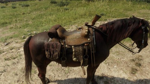 荒野大镖客什么马鞍好[图1]