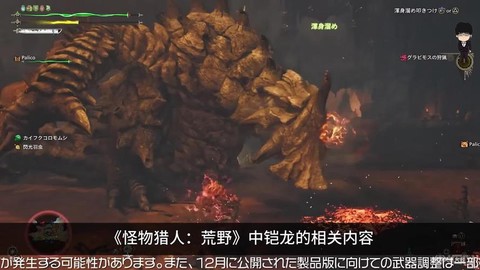 怪物猎人2岩龙弱什么