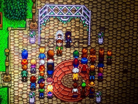 星露谷物语怎么亲吻[图2]