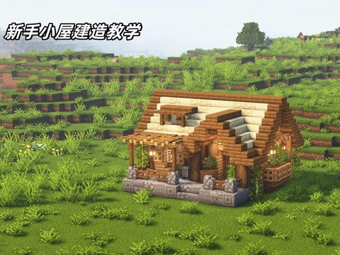 我的世界村民怎么建房子[图2]