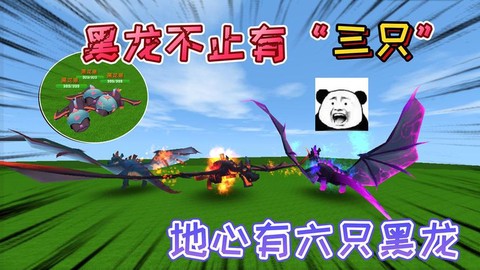 迷你世界打黑龙什么用