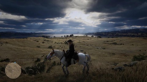 荒野大镖客做了什么